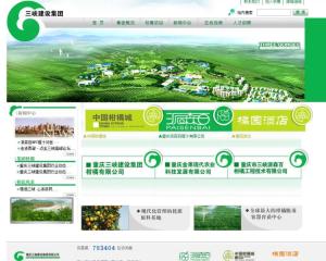重庆三峡建设集团