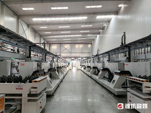 链长 赋能 昌邑市推动 链主 企业高质量发展