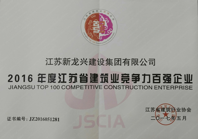 江苏新龙兴建设集团网站