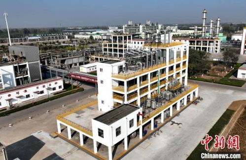 绿色为底色 山东临沭探索低碳循环发展新路径