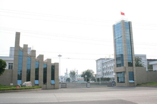 广东西南建设工程集团 引领区域发展的建筑先锋