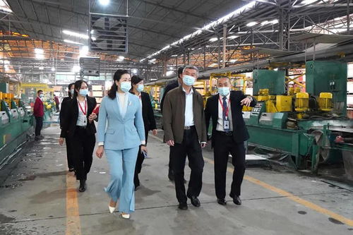 中国建筑卫生陶瓷协会会长缪斌一行莅临方向企业参观交流